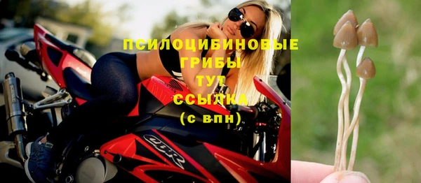 прущая мука Сосновый Бор