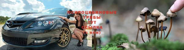 мескалин Сосновоборск