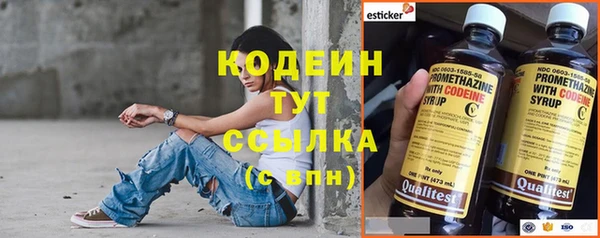 ГАЛЛЮЦИНОГЕННЫЕ ГРИБЫ Сосновка