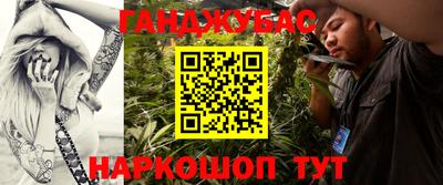сатива Шебекино