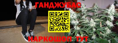 стаф Шелехов